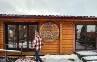 Божья коровка