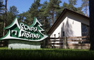 Лесная Гавань