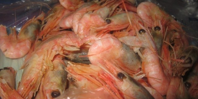 Креветки на ужин, почти что тигровые