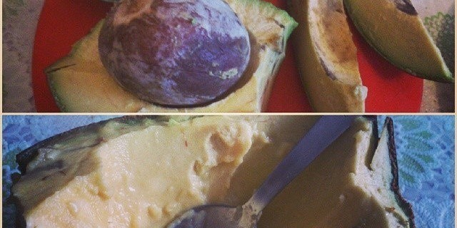 Настоящий авокадо из южной Америки