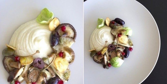 Пюре из сельдерея с лесными грибами