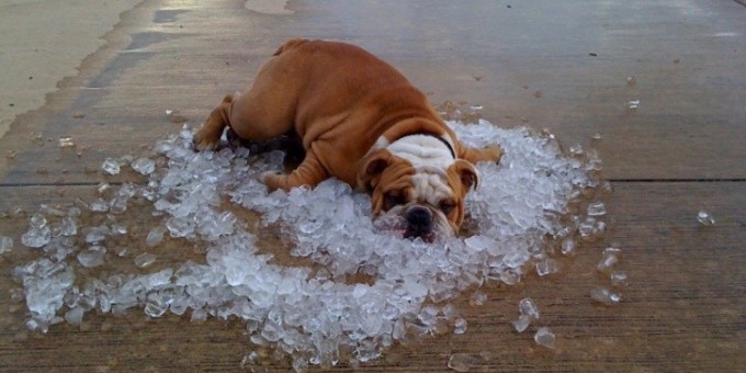 Как победить летнее адское пекло — 22 практичных лайфхака