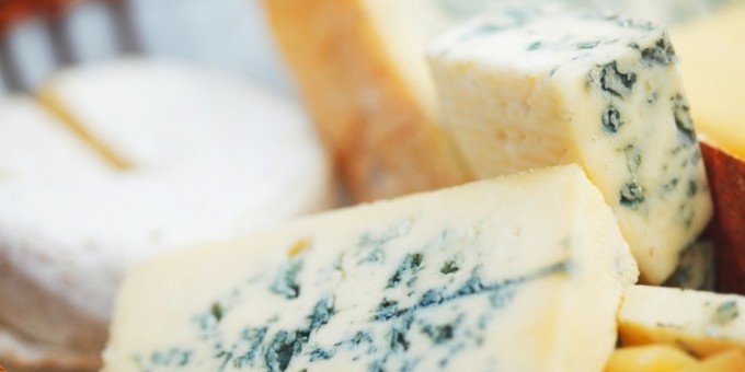 Сыр с плесенью или рассказ о том, что не вся плесень полезна