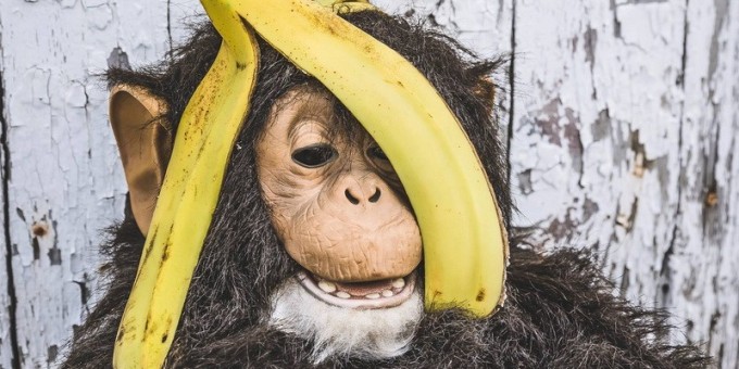 В Минске появился онлайн-сервис «Ебанана» по доставке бананов прямо с пальмы