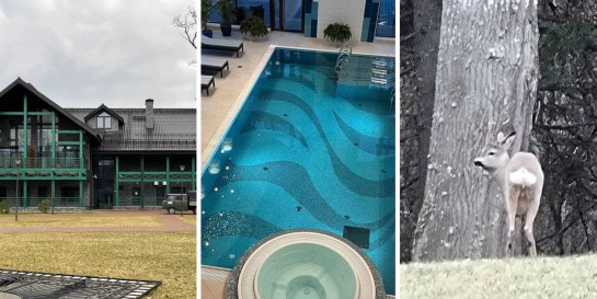 Как отдыхают сотрудники «Газпрома». Заселился на тест эксклюзивного комплекса «Березинская Дубрава»