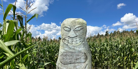 Нашли под Минском лабиринт в кукурузе и ферму по производству сыра на молоке козочек. Агропарк «Кукуполис»