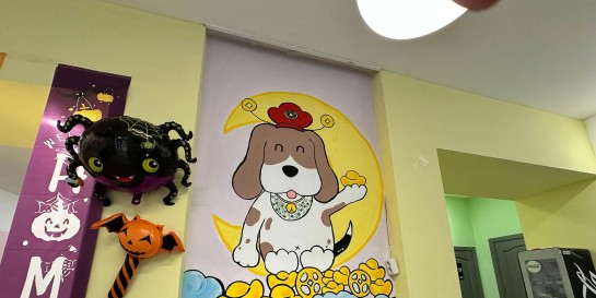 Тестим новую кофейню «Бигль» с корейскими десертами, баблти, где иногда можно встретить тех самых биглей