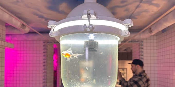 Где в городе собирают вкуснейшую пинсу и затест новой пинсерии «Горыныч» с рыбками в лампах