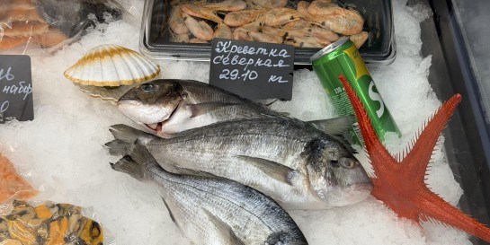 Где недорого купить красную икру и рыбу. Тестим новое рыбное бистро для людей «Морские сезоны»