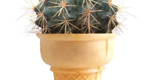 5-ка самых экзотических десертов в мире