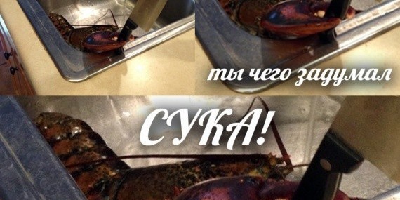 Опасный ракообразный