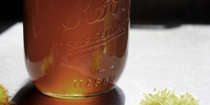 Эликсир молодости. Из каких ингредиентов его приготовить?