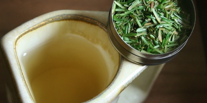 Рецепт предков: Хвойный чай против простуды