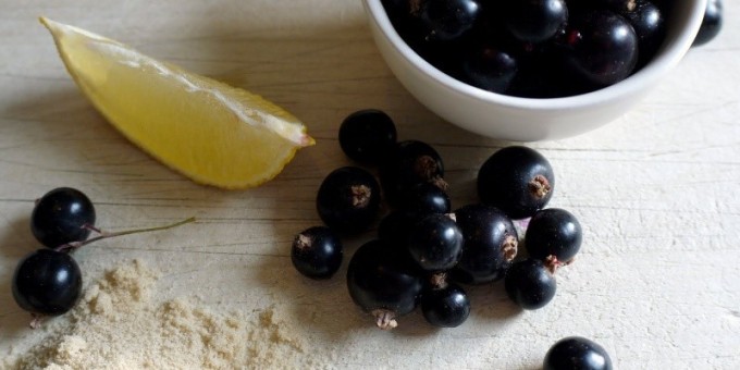 Черная смородина. Чем полезна черная смородина?