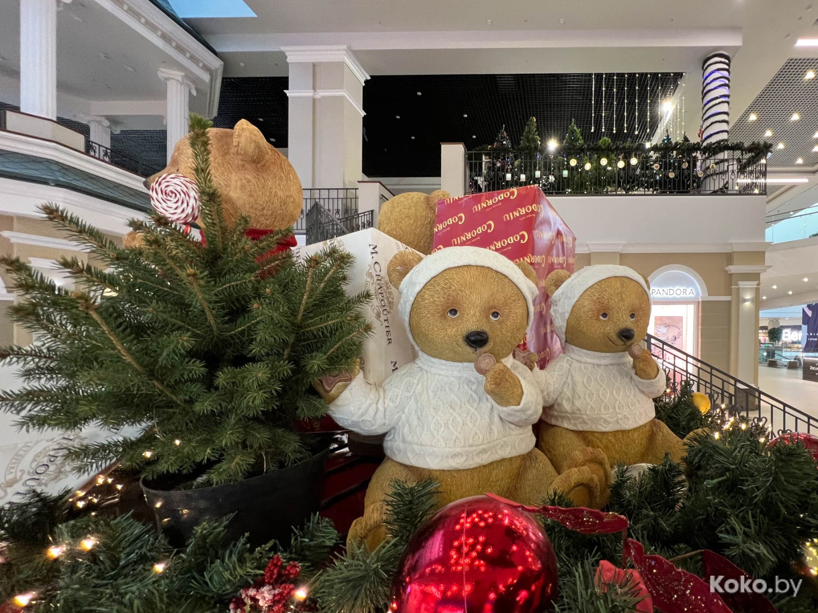 Что нового затестить в Гродно: столичная бургерная, гриль-бар в коттедже и особенная кофейня на втором этаже с верандой - фото - 58