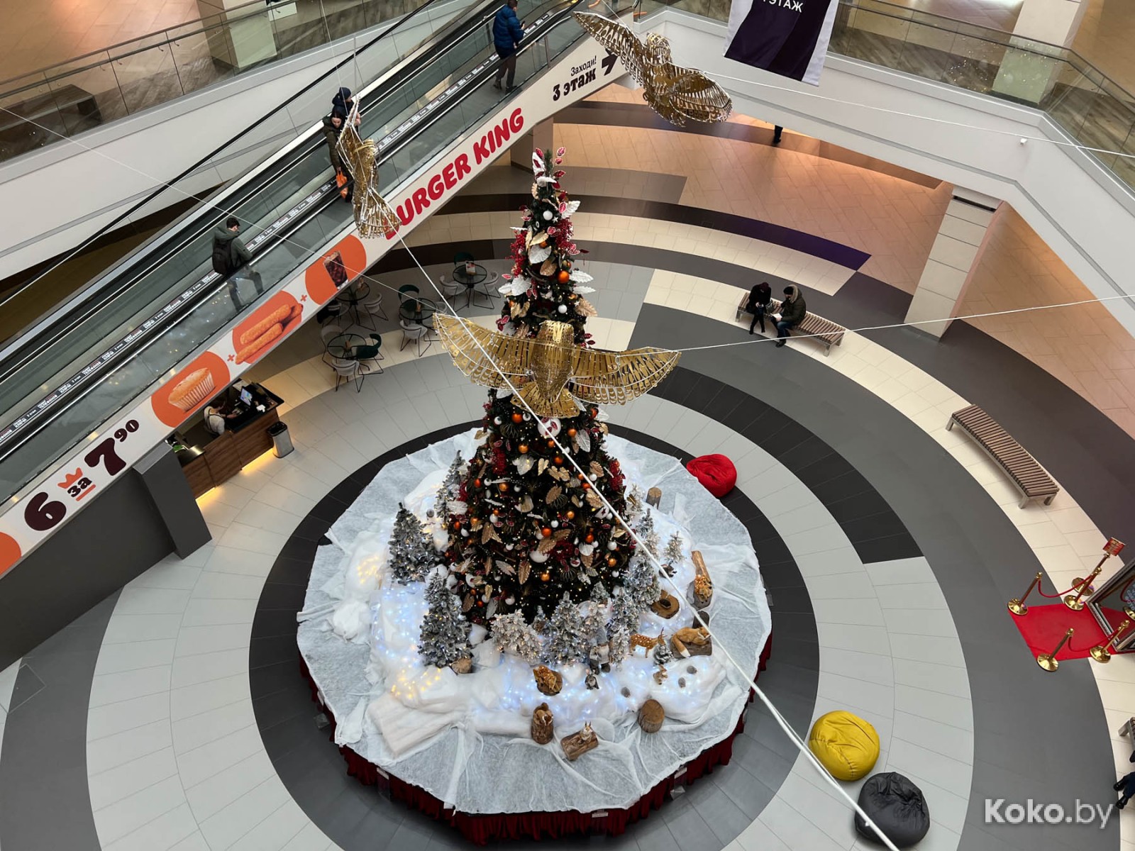 Что нового затестить в Гродно: столичная бургерная, гриль-бар в коттедже и особенная кофейня на втором этаже с верандой - фото - 60