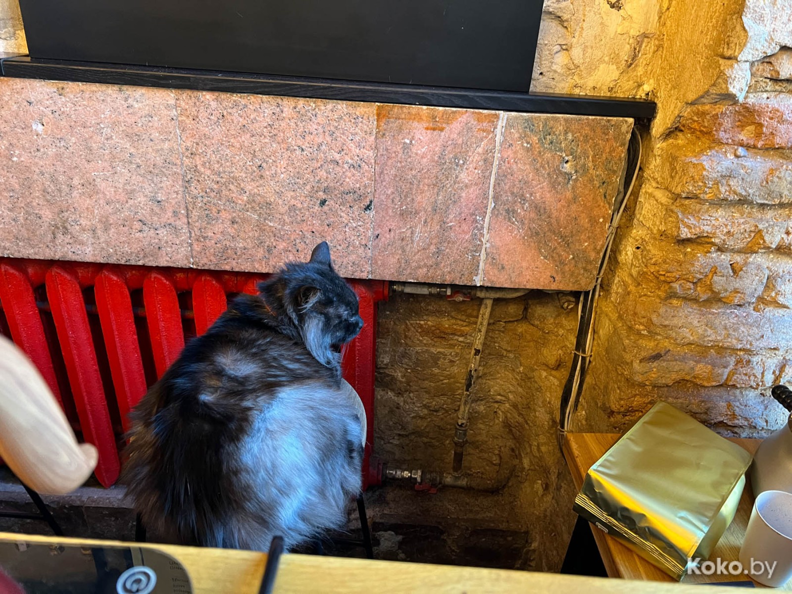 Что нового затестить в Гродно: столичная бургерная, гриль-бар в коттедже и особенная кофейня на втором этаже с верандой - фото - 5