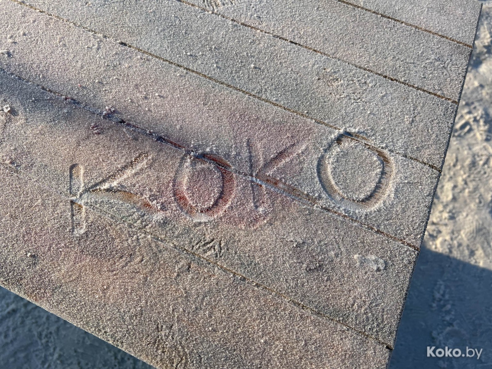 Что нового затестить в Гродно: столичная бургерная, гриль-бар в коттедже и особенная кофейня на втором этаже с верандой - фото - 10